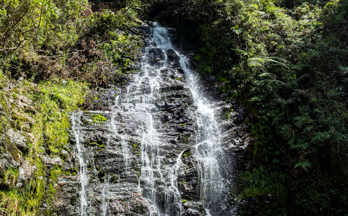 Estas son las cascadas más importantes de Antioquia / Foto: GettyImages