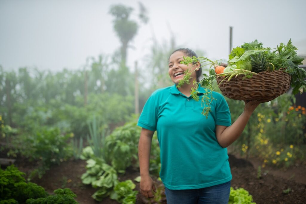 Cortesía : Banco de alimentos Saciar