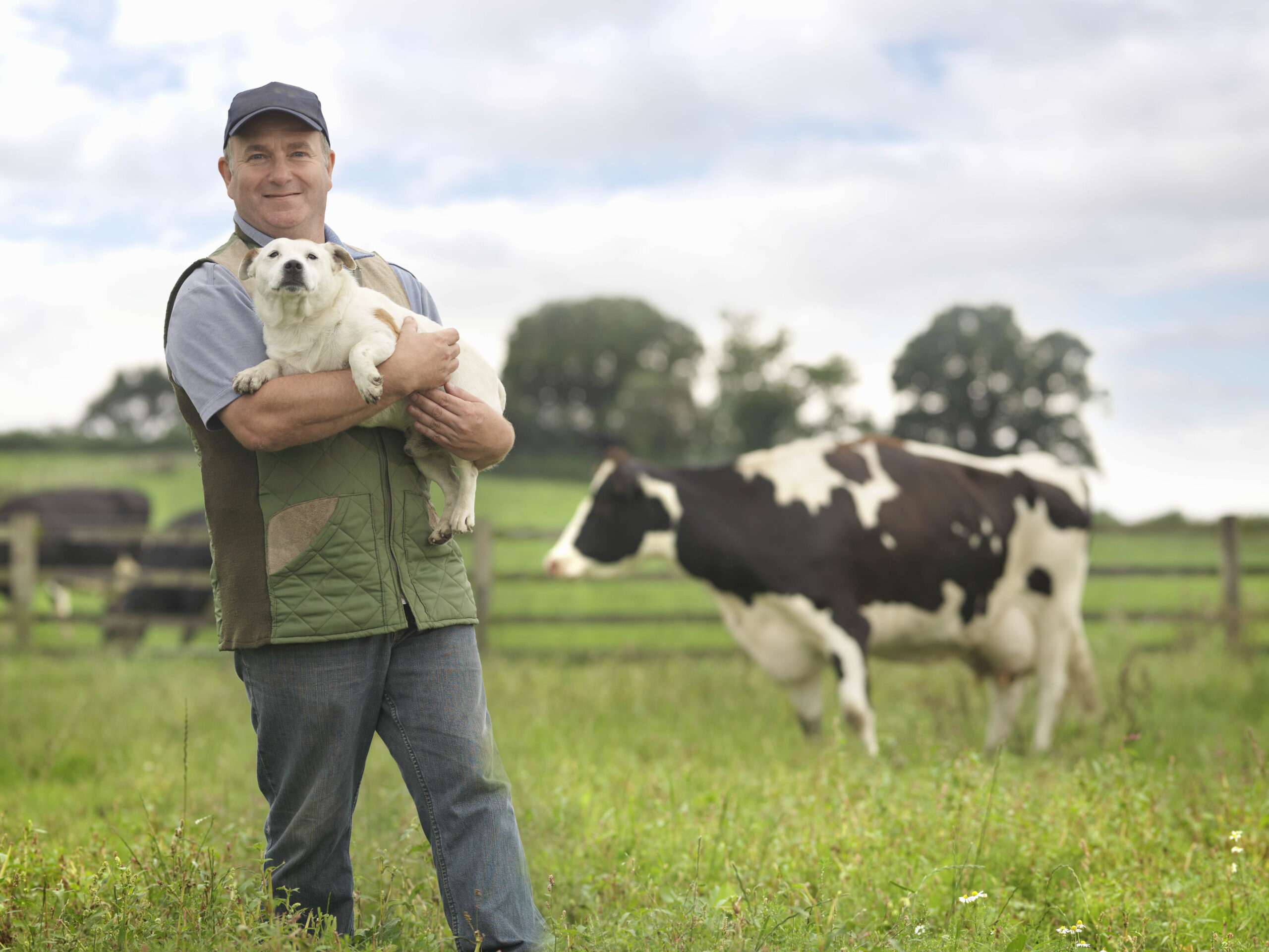 Campesino de Colombia con un perro y una vaca