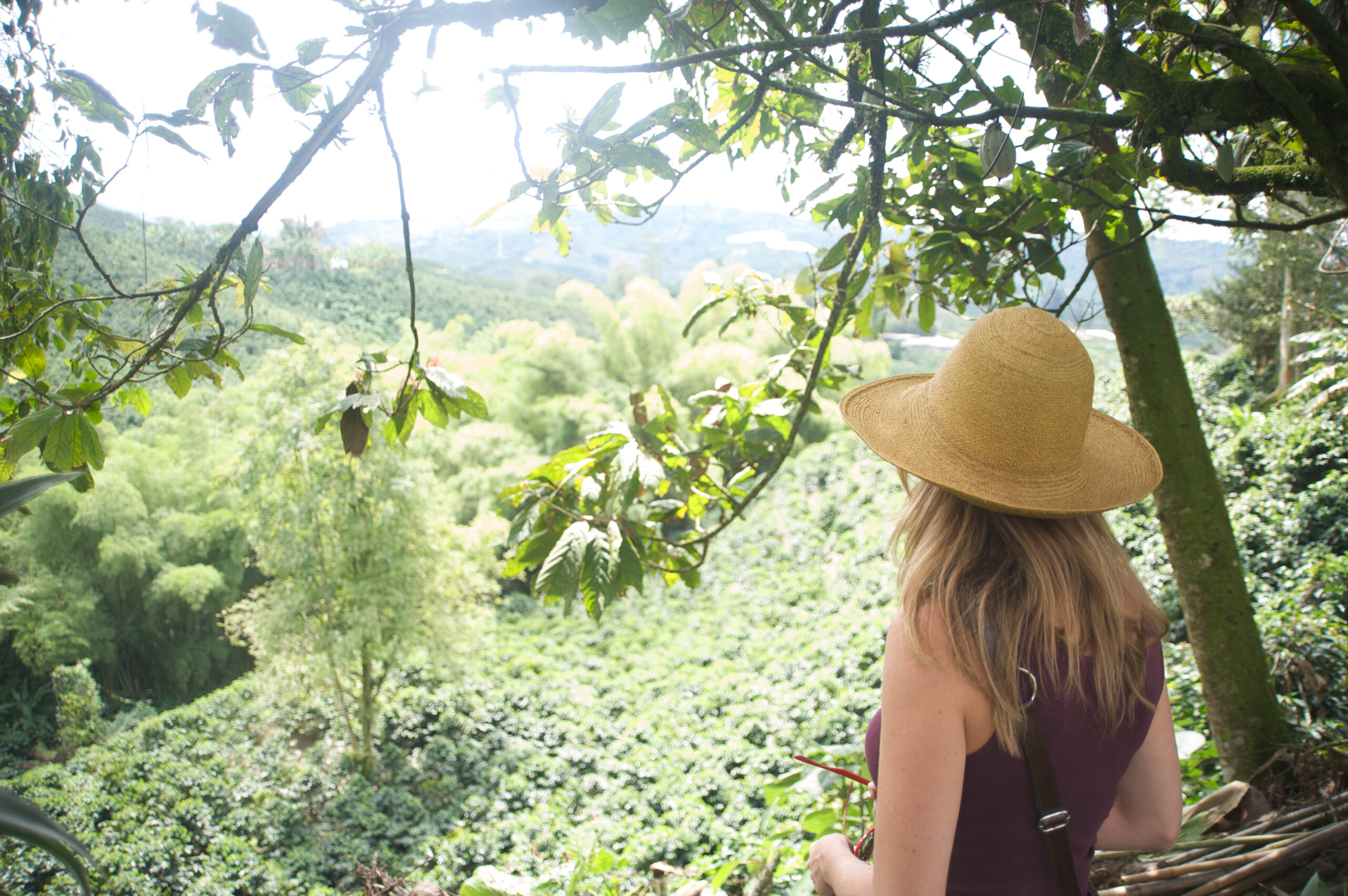 Mujer apreciando un paisaje colombiano (Foto vía Getty Images)