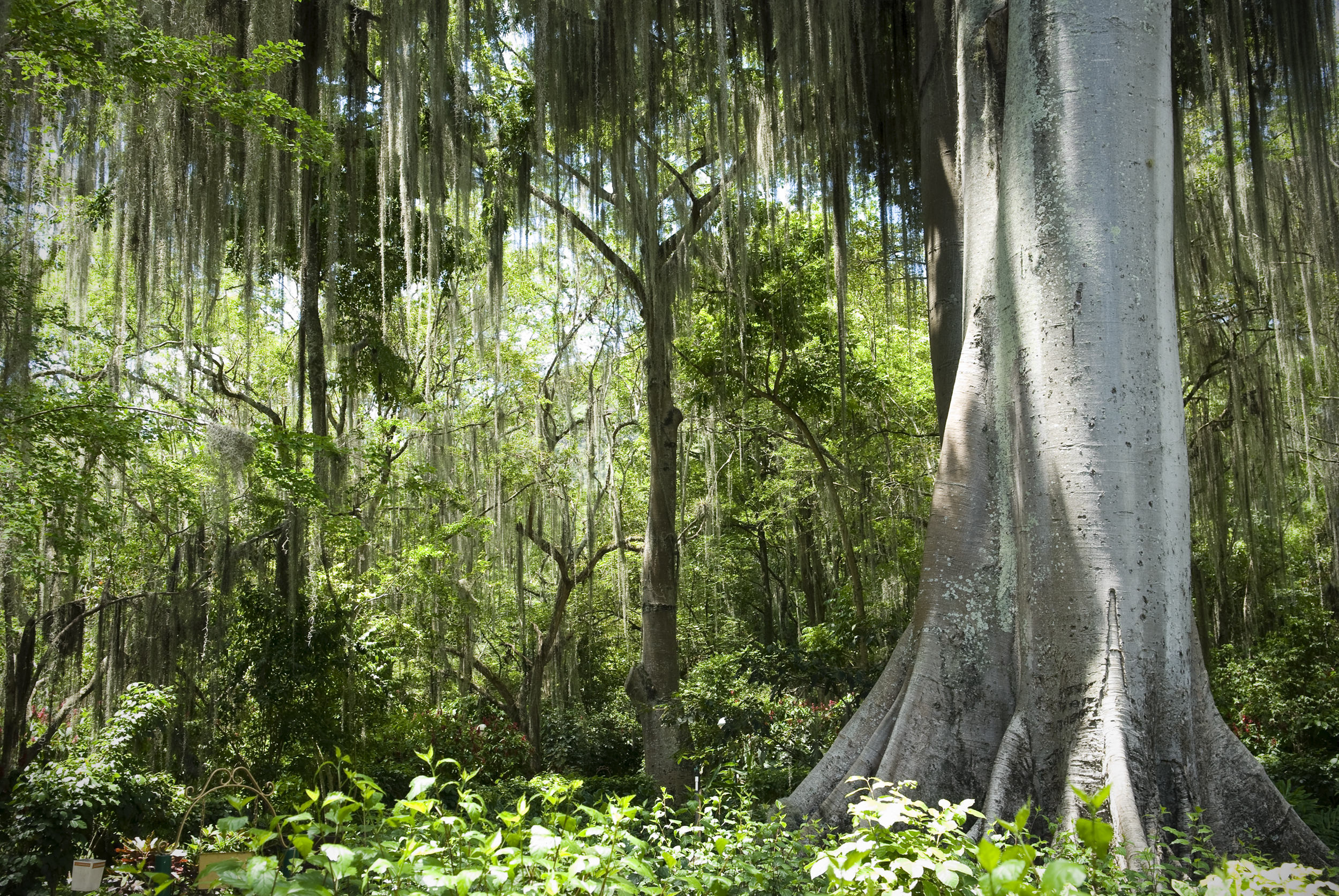 Parque Natural El Gallineral, San Gil, Santander (Foto vía Getty Images)