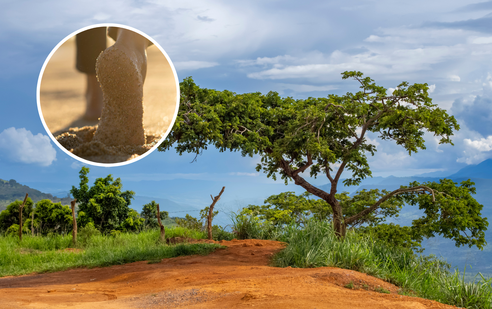 Zona rural de Barichara, Santander con unos pies descalzos (Fotos vía Getty Images)