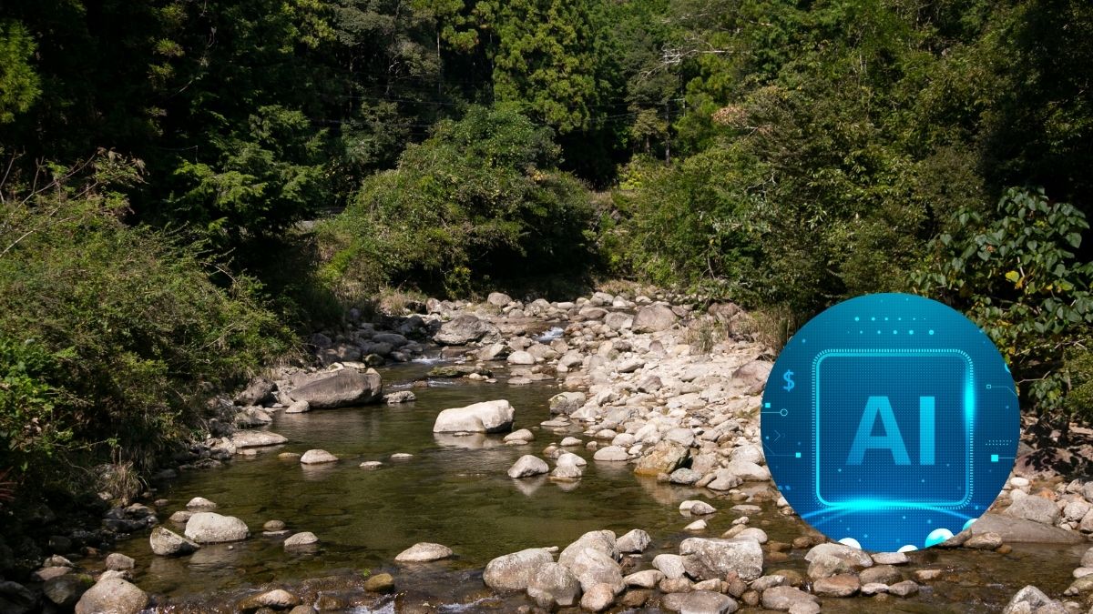 Río con piedras y rodeado de plantas, logo de inteligencia artificial.
