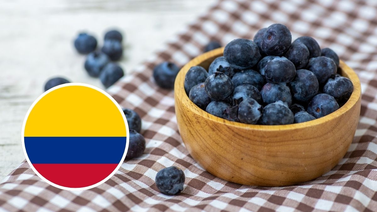 platano con arandanos y bandera de colombia