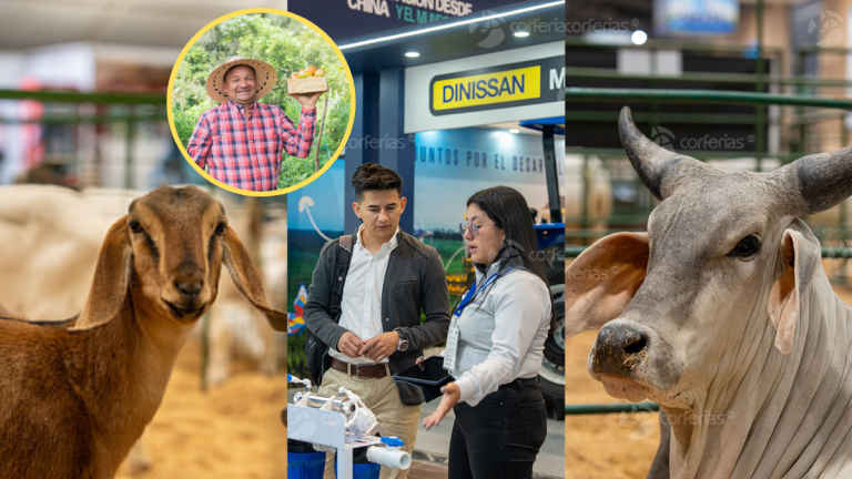 Animales y colaboradores de Agroexpo 2025 | Fotos: Agroexpo y Getty Images.