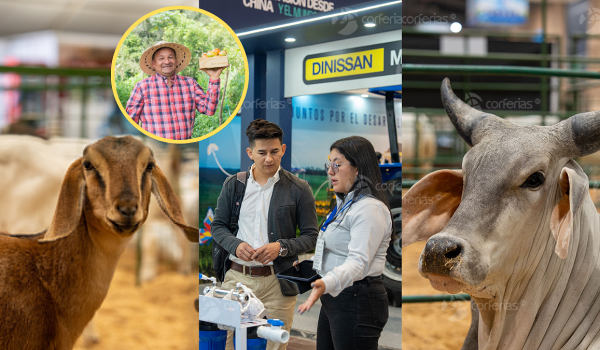 Animales y colaboradores de Agroexpo 2025 | Fotos: Agroexpo y Getty Images.