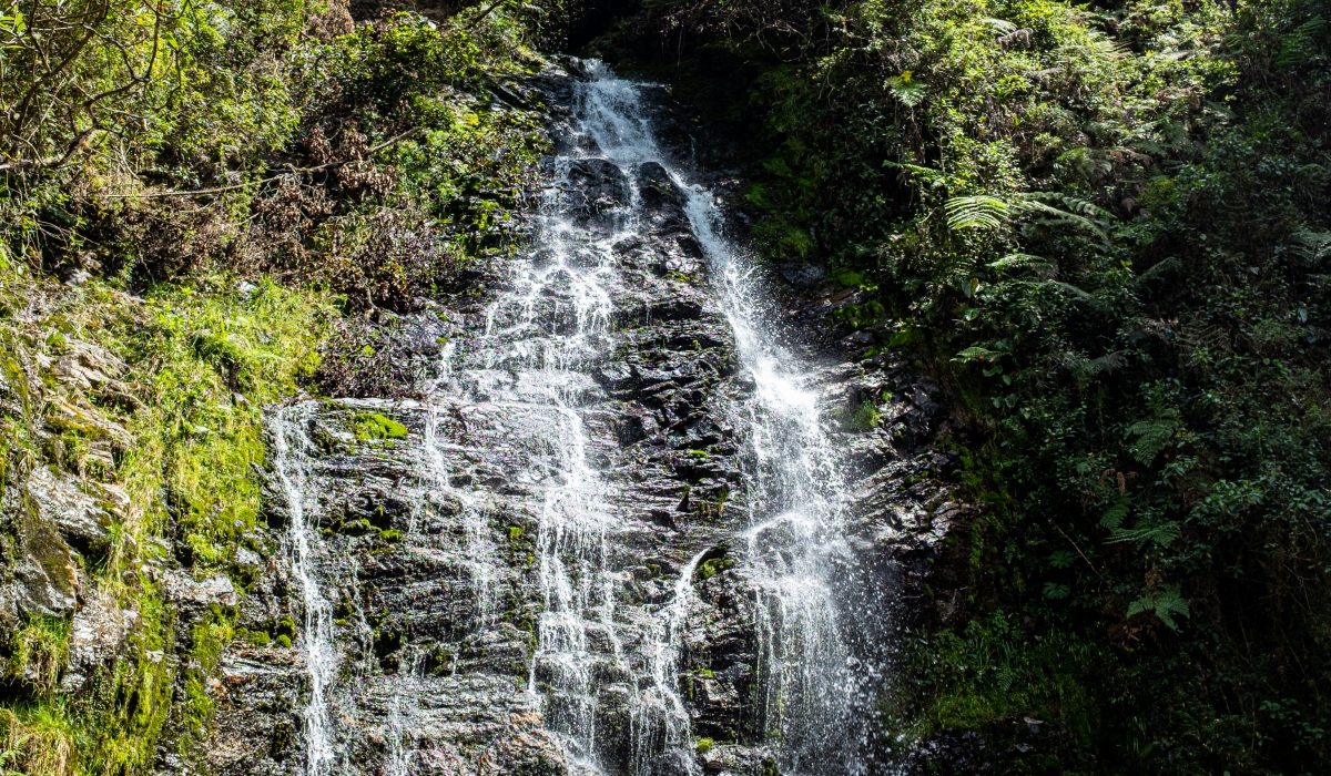 Estas son las cascadas más importantes de Antioquia / Foto: GettyImages