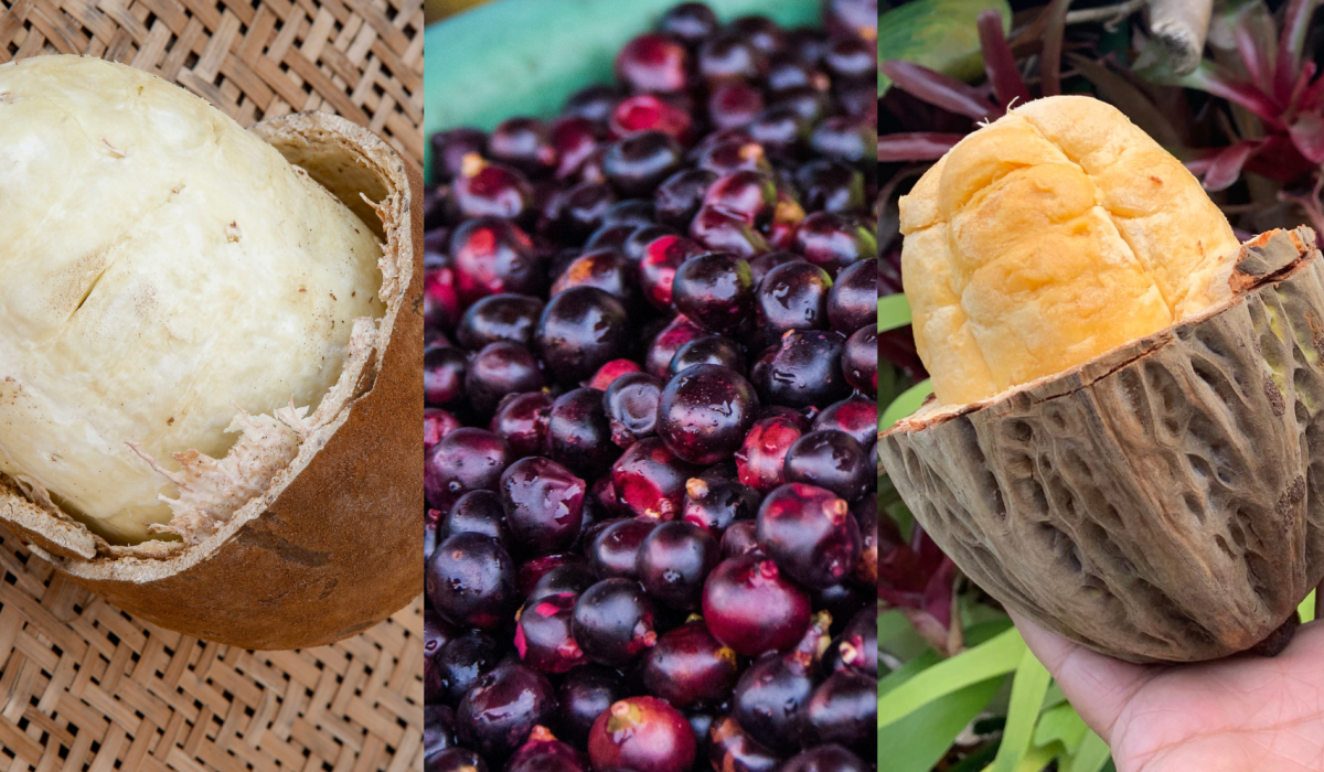 Frutas exóticas de colombia - Corozo - Maraco y Copoazú (Foto vía Getty Images)