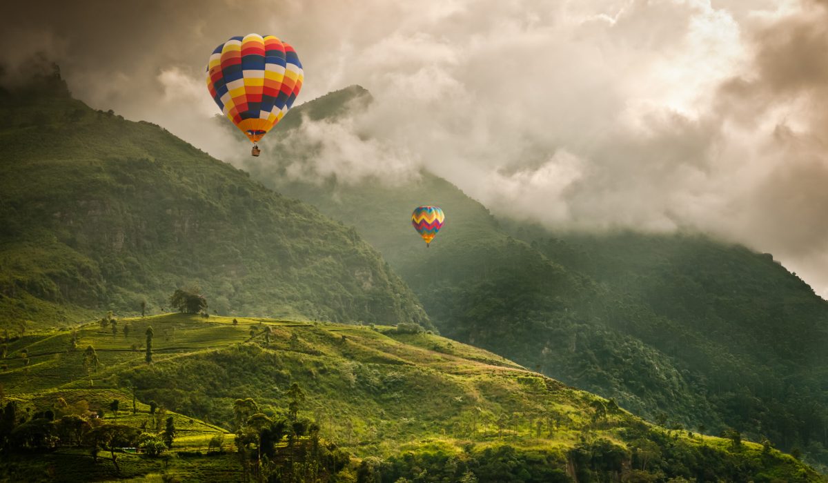 Hot air balloons over tea plantations