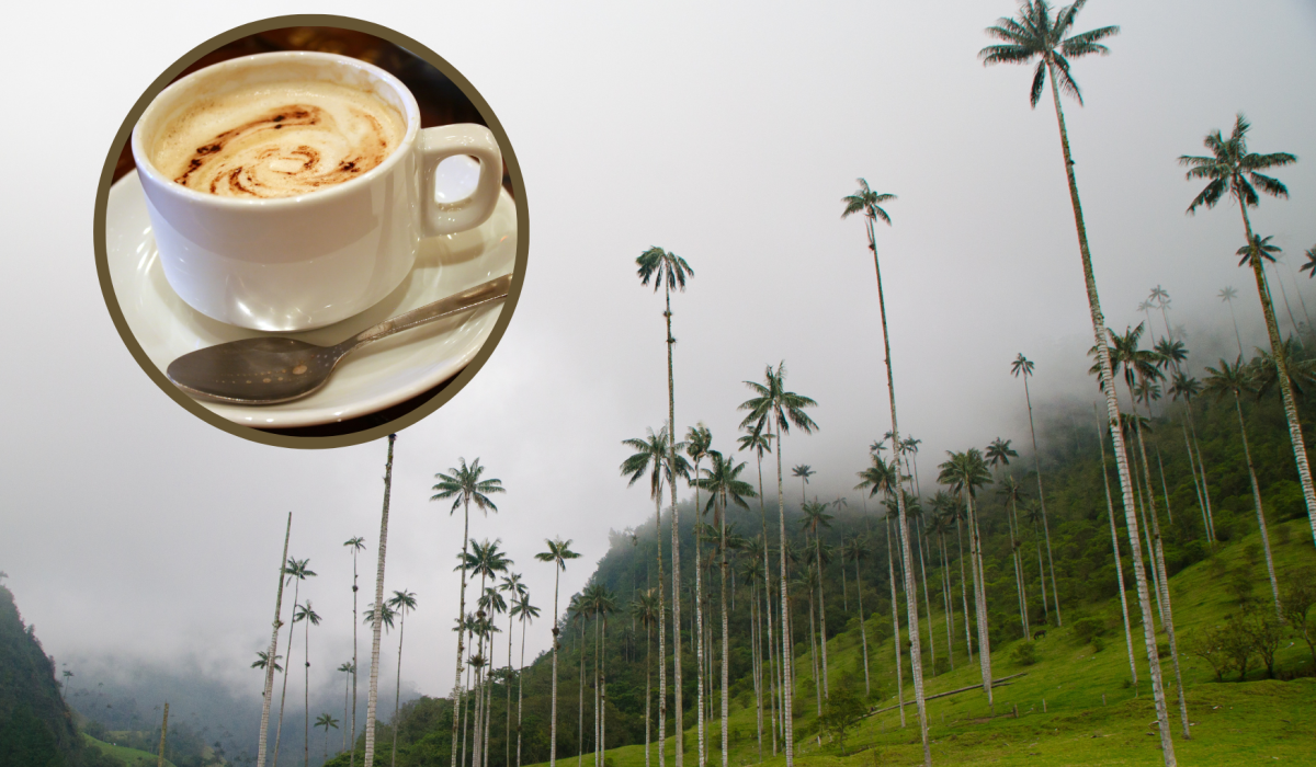 Paisaje cafetero del Valle del Cocora con una taza de café en leche (Foto vía Getty Images)